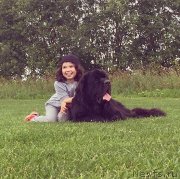 Превью фото № 228690