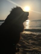 Превью фото № 228696