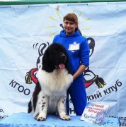 Превью фото № 228777