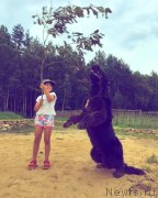 Превью фото № 228797