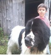 Превью фото № 228801