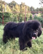 Превью фото № 228807