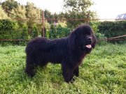 Превью фото № 228809