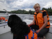 Превью фото № 228819