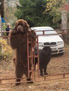 Превью фото № 228840