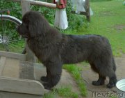 Превью фото № 228849