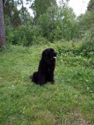 Превью фото № 228873