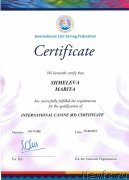 Превью фото № 228891