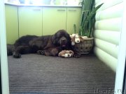 Превью фото № 228928