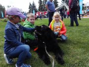 Превью фото № 228945