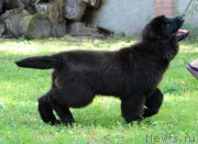 Превью фото № 228951