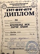 Превью фото № 228962