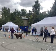 Превью фото № 228963