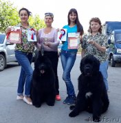 Превью фото № 228970