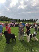 Превью фото № 228974