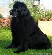 Превью фото № 228996