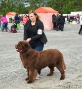 Превью фото № 229031