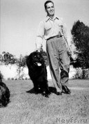 Превью фото № 229129