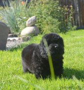 Превью фото № 229156