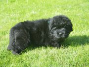 Превью фото № 229172