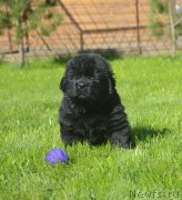 Превью фото № 229174