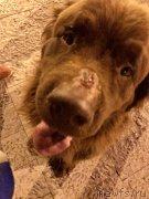 Превью фото № 229191