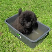 Превью фото № 229200