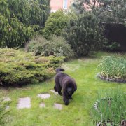 Превью фото № 229204