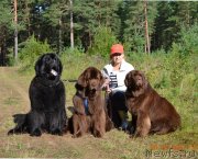 Превью фото № 229213