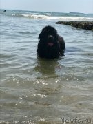 Превью фото № 229214