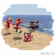 Превью фото № 229245