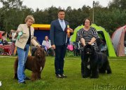 Превью фото № 229259