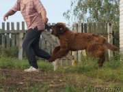 Превью фото № 229277