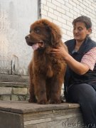 Превью фото № 229283