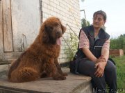 Превью фото № 229288