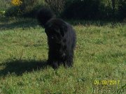 Превью фото № 229290