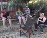 Превью фото № 229296