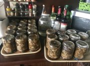 Превью фото № 229305