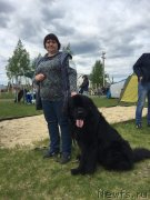 Превью фото № 229326