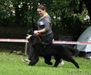 Превью фото № 229337