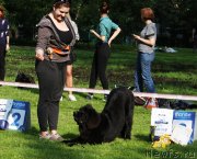 Превью фото № 229339