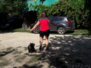 Превью фото № 229358