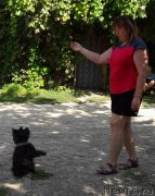 Превью фото № 229361