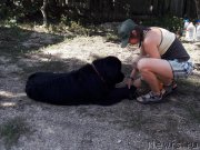 Превью фото № 229367