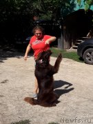 Превью фото № 229373