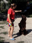 Превью фото № 229378