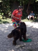 Превью фото № 229380