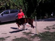 Превью фото № 229397