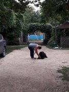 Превью фото № 229415