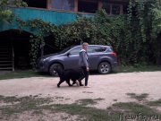 Превью фото № 229417